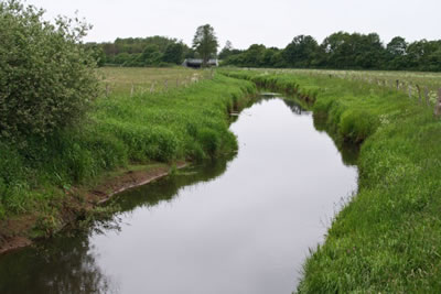 Westfälische Bucht/Westfälisches Tiefland (WB/WT)